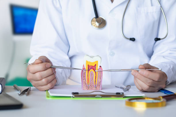 Best Emergency Tooth Extraction in Elberton, GA